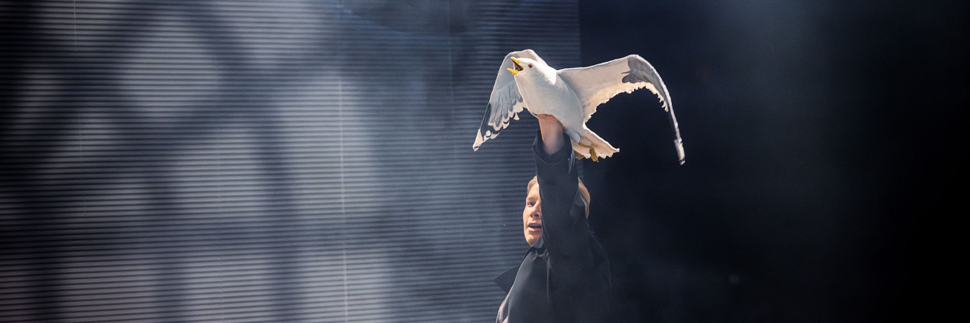 En skådespelare står i dramatisk scenbelysning med mörk bakgrund och håller en stor, realistisk måsrekvisita högt över huvudet med ena handen. Måsens vingar är utsträckta och näbben öppen som om den skriker. Skådespelaren, klädd i mörka scenkläder, tittar fokuserat upp mot fågeln samtidigt som ett skarpt ljus faller på både ansikte och rekvisita, vilket skapar en känsla av högtidligt eller symboliskt ögonblick.